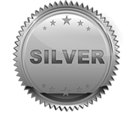 Silver Sponsorship
